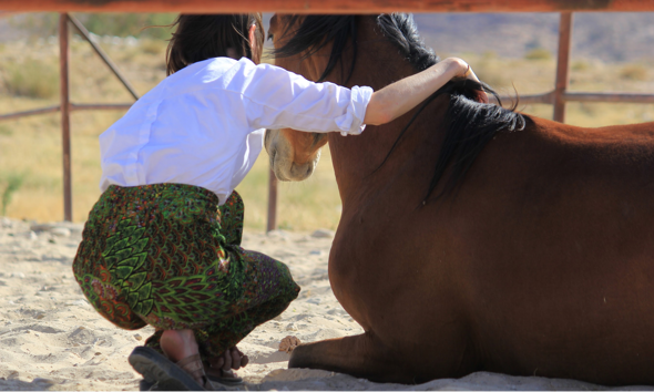 with horse