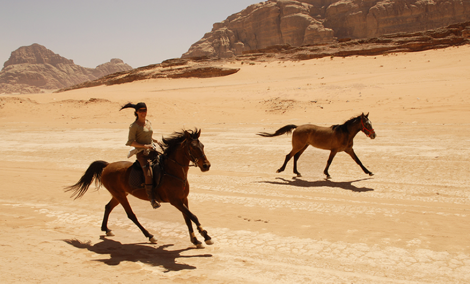 horses