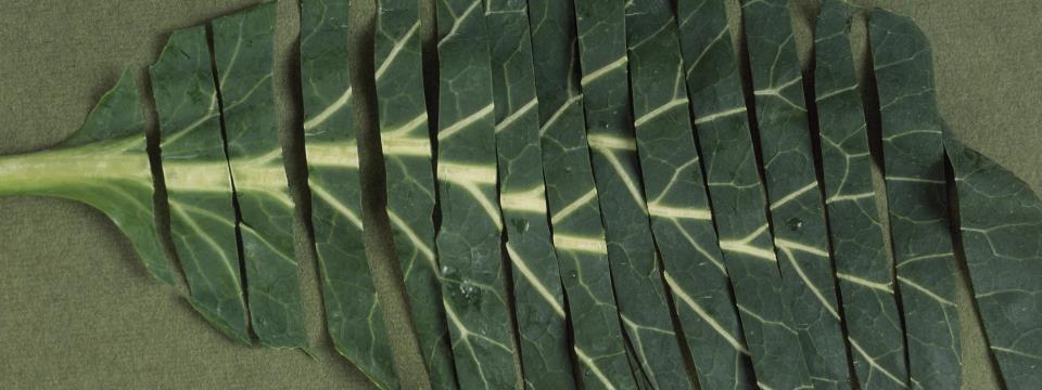 collard greens