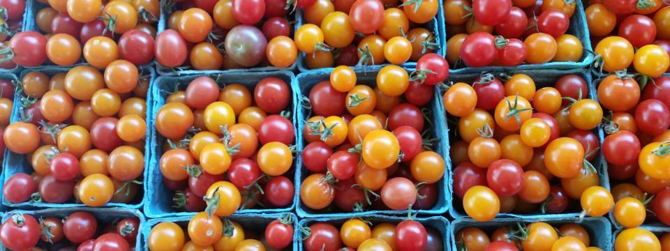 whats in season