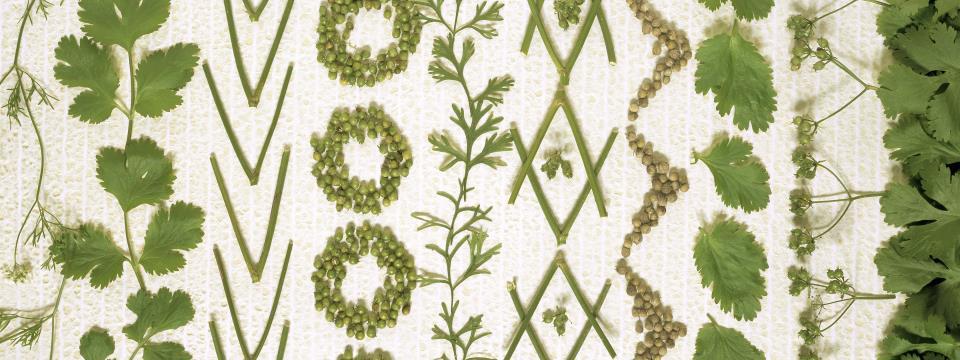 microgreens, greens, vegetables, tiny, nutrition,