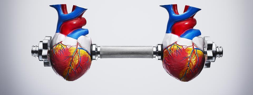 cardio, risks, workout, heart, health, benefits