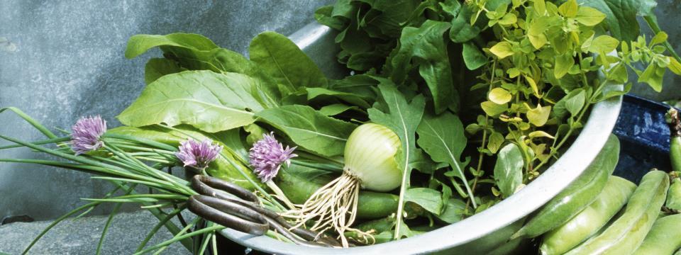 eat, spring, eating, vegetables, nutrition, diet, food,