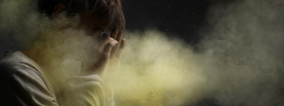 allergies, wellness,