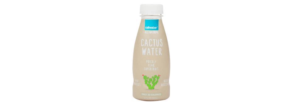 plant, water, cactus, coconut