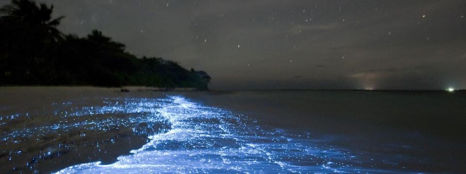 incredible, water, destinations, beach, lake, ocean, sea, amazing