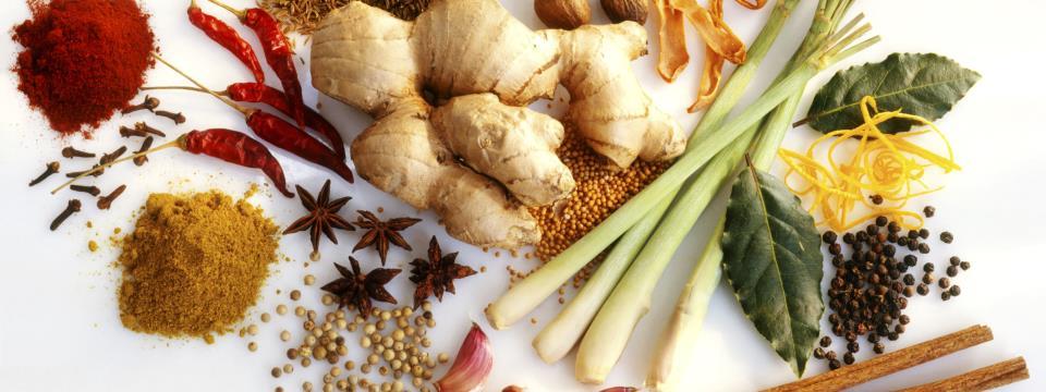 medicinal, michelin, cooking, joel robuchon, nadia volf,