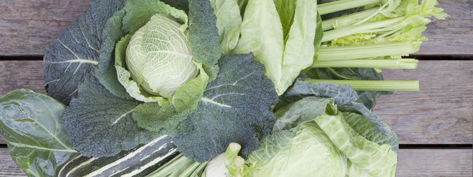 bieler, broth, detox, nutrition, cleanse,
