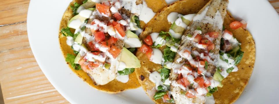 fish, tacos, healthy, recipe,