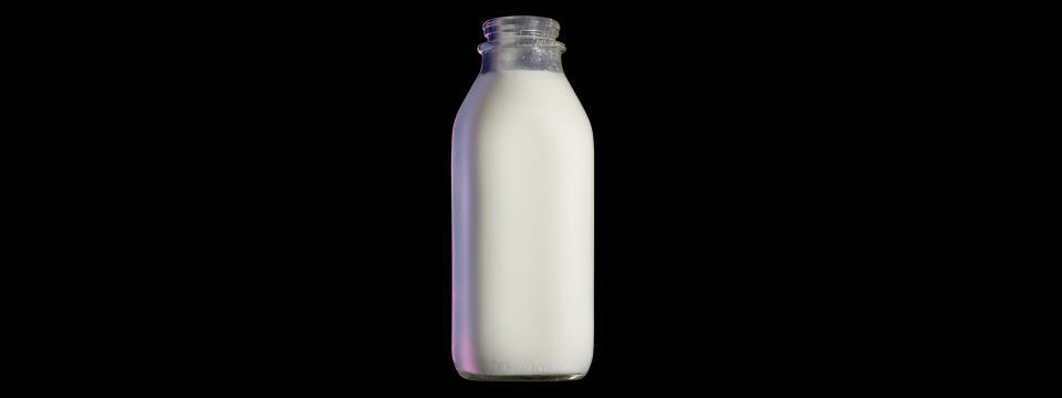 milk, health, benefits, lactose, fitness,