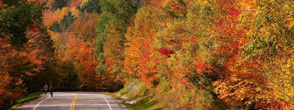 fall, bike, rides, trips, biking, locations, vacations