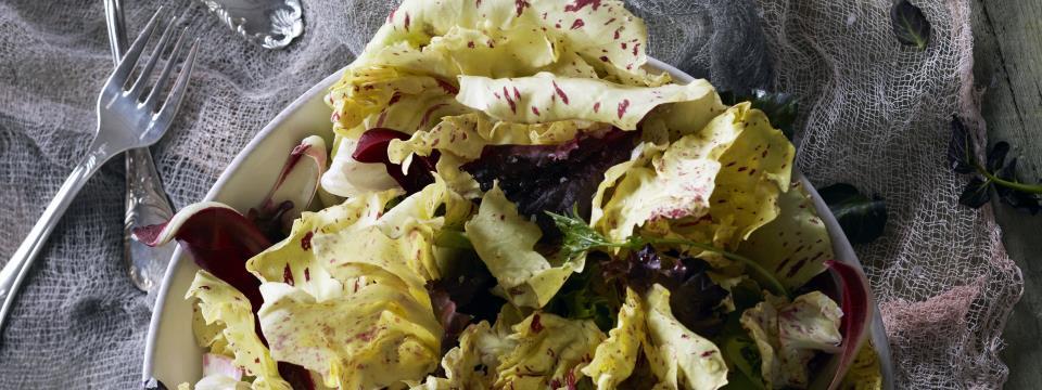 CASTELFRANCO RADICCHIO SALAD, yellow radicchio, salad, lettuce, radicchio