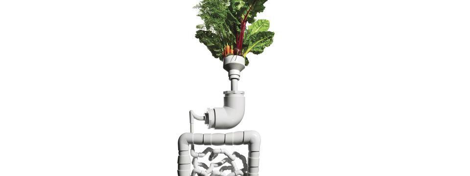 prebiotics, probiotics