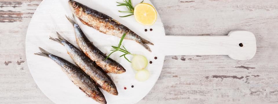 fish you should be eating, oysters, mussels, sardines
