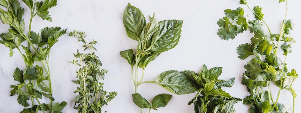recipe, herbs, salad, marinade