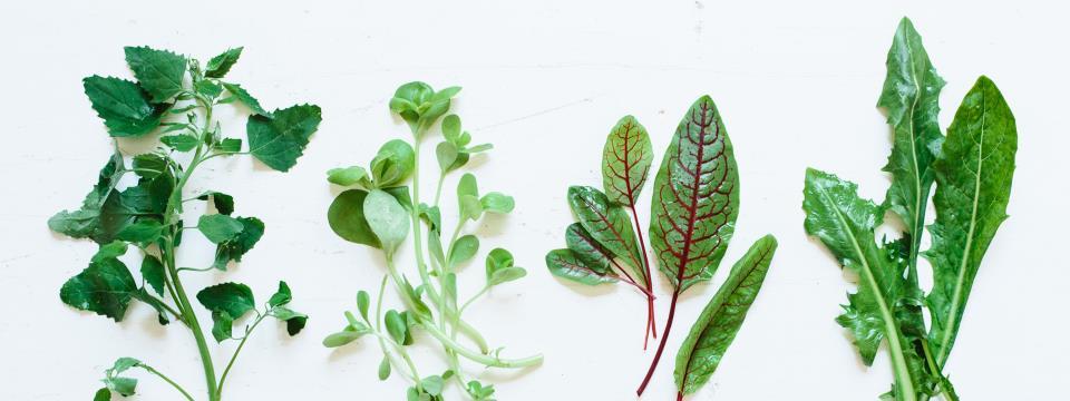 weeds, edible weeds, weeds you should be eating