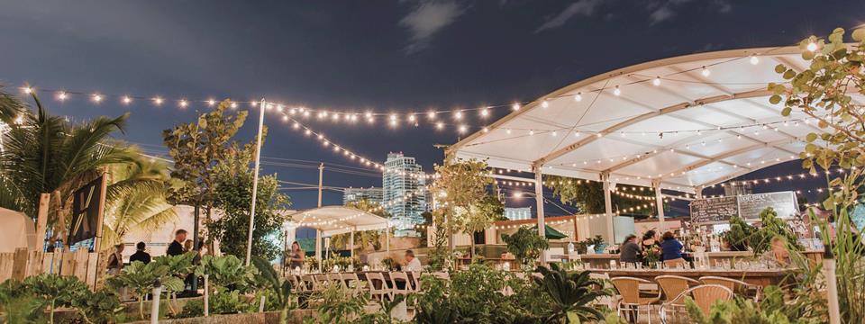 miami wellness