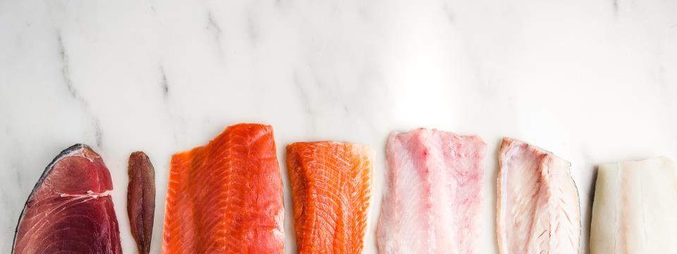 colorful fish, fish
