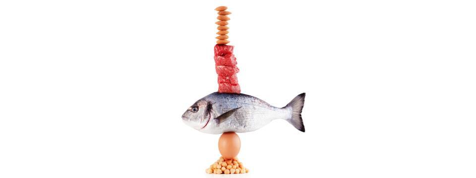 protein